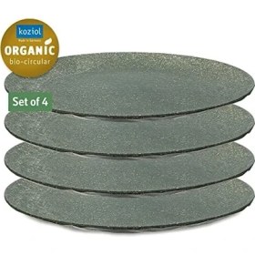 Resim 4'lü Gri Tabak - 26 cm 