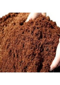 Resim 3 Litre Zengin Karışım Çiçek Toprağı Özel Karışım Süpriz Hediye Tohumludur 