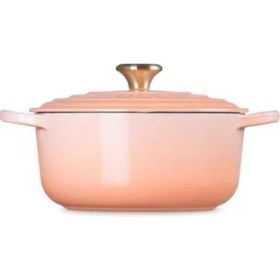 Resim Pêche Yuvarlak Güveç Tenceresi, 20CM, Emaye Döküm 