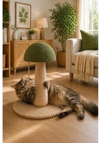 Resim Kedi Tırmalama Ve Oyuncak Standı, Yeşil Mantar Tasarımı 