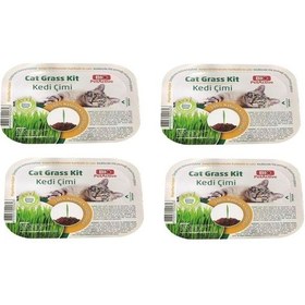 Resim Bio Petactive Cat Grass Kit Doğal Kedi Çimi Kiti X 4 Adet 