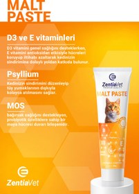 Resim zentiavet Kedi Maltı Kedi Tüy Yumağı Kusma Önleyici Kedi Vitamini Sindirim Destekleyici Kedi Malt Macun 100 gr 