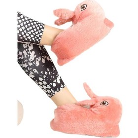 Resim Peluş Tavşan Figürlü Kaymaz Ve Ses Yapmaz Ev Panduf Pudra-pudra Pudra 