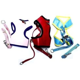 Resim LintFree Yavru Köpek Gezdirme Seti 