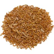 Resim Purecanpati Kurutulmuş Gammarus Kaplumbağa Yemi 25 Gr 