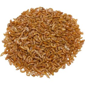 Resim Purecanpati Kurutulmuş Gammarus Kaplumbağa Yemi 25 Gr 