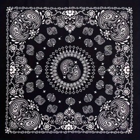Resim 1 adet Paisley Bandanası - %100 Retro Hip-Hop Baskılı Kare Eşarp, Hafif ve Makinede Yıkanabilir, Siyah Beyaz Çiçek Deseni, Dış Mekan Bisiklet Sürme, Cadılar Bayramı Hediyeleri ve Partiler için Mükemmel, Cadılar Bayramı Aksesuarı | Çiçekli Baskılı Eşarp | %100 Eşarp, Saç Bandanası 