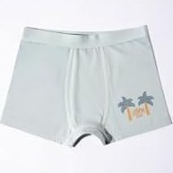 Resim U.S. Polo Assn. Erkek Çocuk Boxer, Yeşil, 9-10 Yaş, Set of 3 