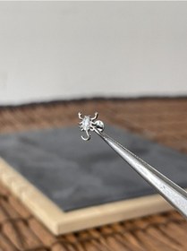 Resim Yüksek Kalite G23 Akrep Zirkon Titanyum 6 X 1.2 MM Labret Piercing Gümüş 