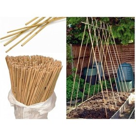 Resim Bitki Destek Çubuğu Bambu 75 Cm 10 Adet Diğer 