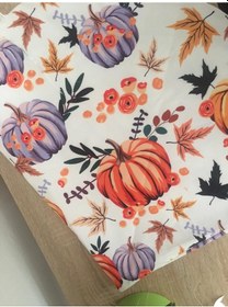 Resim Kabak Desenli Yoğurt Mayalama Matı Çok Renkli 