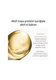 Resim Jomtam Maya Eki Proteinli Nemlendirici ve Yumuşatıcı El Kremi 80 G 