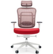 Resim Passion Oyuncu Ofis Yönetici Çalışma Makam Koltuğu 