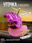 Resim Ai.gul Aracın İçinde Kasklı Ve Gözlükleri Olan Ördek 212781074 