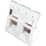 Resim Hb-Eamb2 International Plate, 2-Port, Angled Module, 50 X 50 Mm, Beige 