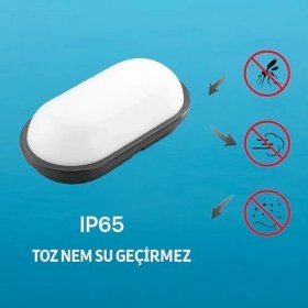 Resim 20W IP65 Oval Siyah LED Tavan ve Duvar Lambası | 6500K Beyaz Işık | Su Geçirmez Banyo Bahçe Aydınlatma Armatürü | 2000 Lümen | 270X147X78MM (220V) 