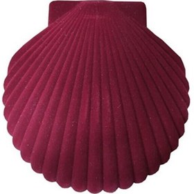 Resim Kolye Takım Küpe Yüzük İstiridye Kuyumcu Kutusu 