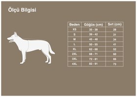 Resim Birdy Turuncu Köpek Kıyafeti - S 