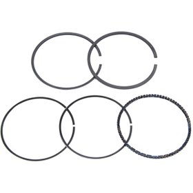 Resim Bmw M50 Segman Vanos 80.25mm 11251738769 