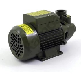 Resim Style QB60 0.5 Hp Elektrikli Su Dinamosu ( Lisinya ) 