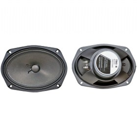 Resim Nyf Hoparlör Oval 16x22 Cm - 6x9 İnç Midrange 800w 80w Rms Trg 6995 