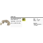 Resim Vertex DİYOT TABLASI-HT ISUZU ŞAMPİYON - VERTEX-VHR1140 