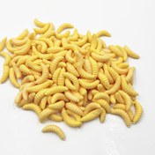 Resim 100 adet Gerçekçi Sarı Ekmek Solucanı Balıkçılık Yemleri - Tatlısu Levrek ve Alabalık Avı için Detaylı Anten & Setae'li Yumuşak Plastik Kurdu, Doğal Av Taklidi için Yüksek Kaliteli Dayanıklı Yem, Alabalık Balıkçılığı Yemleri, Setae Detaylı Tasarım, Solucanga Benzer Doku 