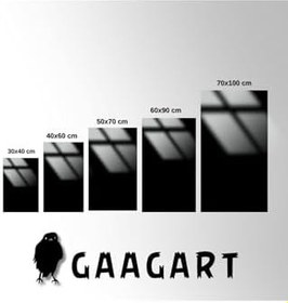 Resim Gaagart Metal Çerçeveli Cam Dahiliye Poliklinik Tablosu Çiçekli Kalp, 60 X 90 