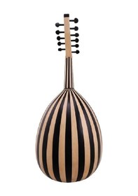 Resim Ceviz Ve Gürgen Ağacı Öğrenci Ud Ceviz 