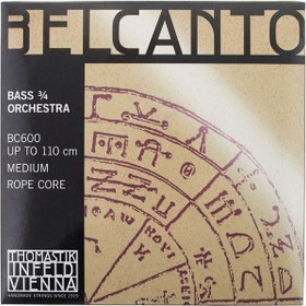 Resim Thomastik Infeld BC600 Belcanto Kontrabas Teli 