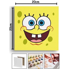 Resim Sayılarla Boyama 20x20 Cm Tuval Seti Fırça Boya Dahil Çıtaya Gerili - Sünger Yüz 
