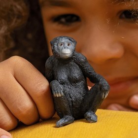 Resim Schleich Dişi Bonobo 14875 
