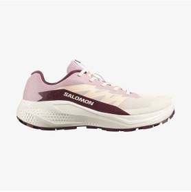 Resim Salomon Alphaglide W Kadın Koşu Ayakkabısı-32157 Krem 