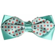 Resim Su Yeşili Saten Garnitürlü Desenli Papyon - GP-603 Yeşil 