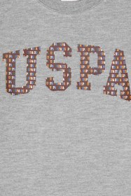 Resim U.S. Polo Assn. Erkek Çocuk Gri Melanj Bisiklet Yaka İnce Sweatshirt 50316527-VR086 