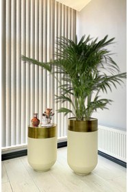Resim evdeniste Dekoratif Eskitme Darbuka Beyaz Saksı 70cm + Sehpa 60cm Ikili Set 