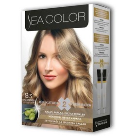 Resim Genel Markalar 2 Tüp Krem Saç Boyası Seti Bal Köpüğü No:8.3 