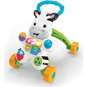 Resim Fisher Price Melodili Zebra Yürüteç 