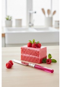 Resim 6 Lı Paslanmaz Çelik Pembe Tatlı Bıçağı Seti 