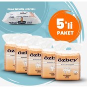 Resim Pedix Anatomik Hasta Bezi Büyük Boy L 40 Adet (Belbantsız) 