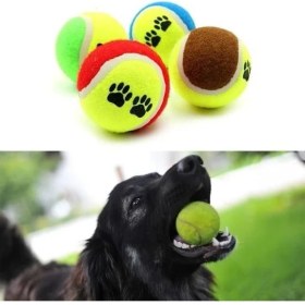 Resim 3lü Renkli Desenli Tenis Topu Kedi Köpek Oyuncağı 