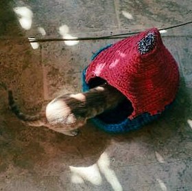 Resim El Örgüsü Kedi Yatağı 