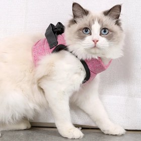 Resim Kedi Göğüs Tasması ve Kayış Seti 88598 - Pembe / S 