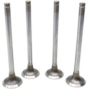 Resim Opel Ascona C Astra F G Kadett D E Vectra A 1.6D 1.7D 1.7TD X17DTL 1981 Sonrası Subap Egzoz 8 mm 4’lü Set 