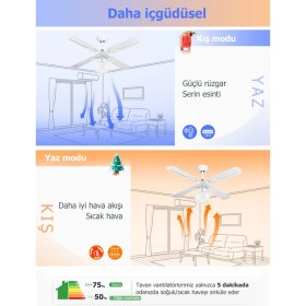 Resim Dlc Group Poyraz Tavan Vantilatörü Beyaz 107 cm 
