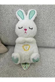 Resim Sevimli Tavşan Nefes Alan Uyku Arkadaşı 8976 