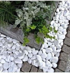 Resim Beyaz Dolomit Taş 15 Kg 4 6 Cm Dekoratif Bahçe Süs Taşı 