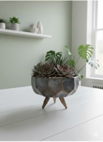 Resim Alba Home Decor Sukulent kaktüs ahsap ayaklı saksı 
