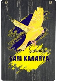 Resim Fenerbahçe A Takım Futbolcu Antrenman T-shirt Kutulu 001 