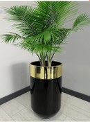 Resim Dekoratif Gold Darbuka Parlak Siyah Saksı 70cm 